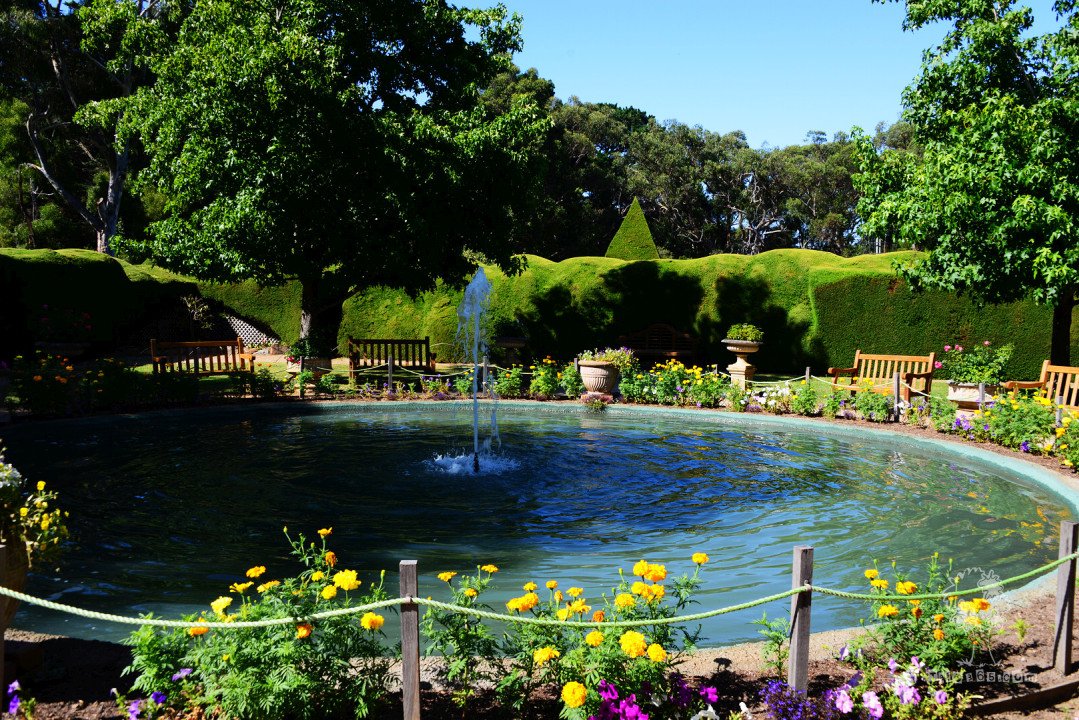 2014年发现澳洲 – 迷宫