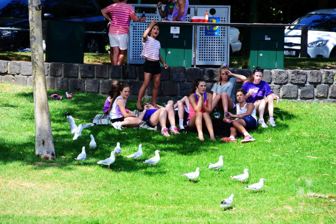 2014发现澳洲 – 学生