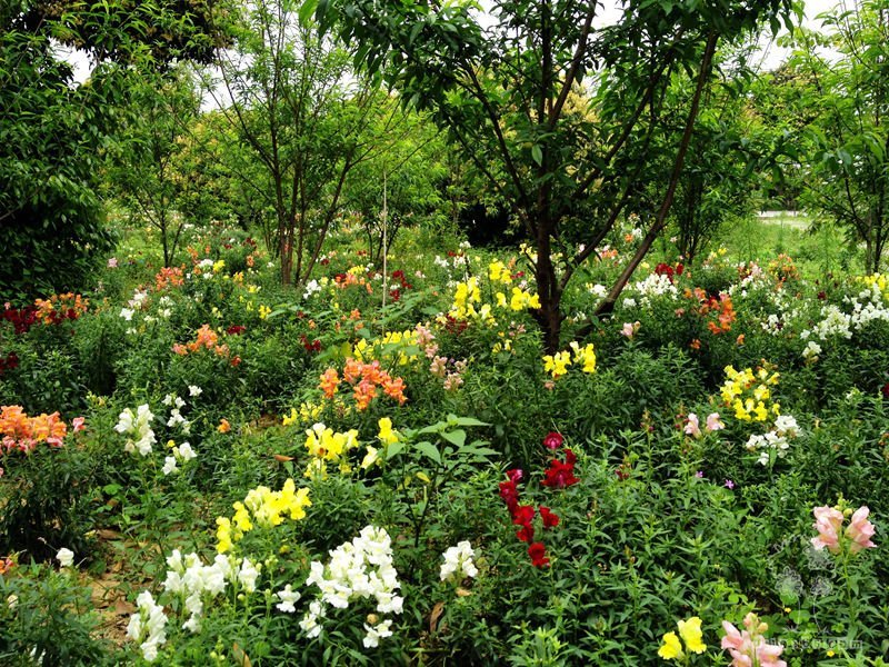 2014清明踏青 – 七彩花田、九龙湖、逸泉山庄