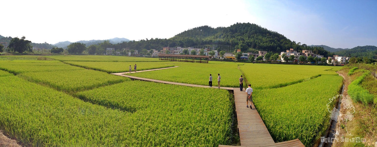 红山村、王子山，凉爽吸氧一日游