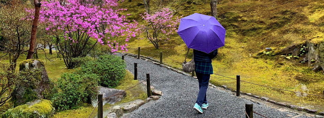 日本逐樱之旅 – 京都之三