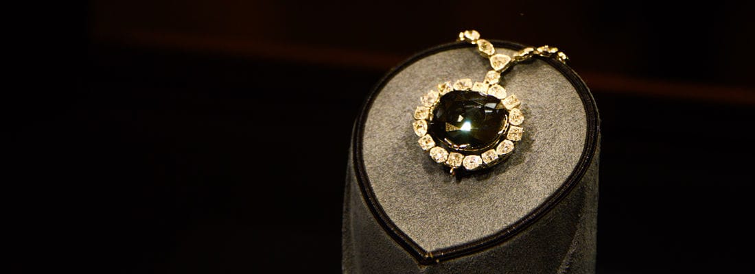 2017爷俩的美国之旅 – 华盛顿 – 海洋之心