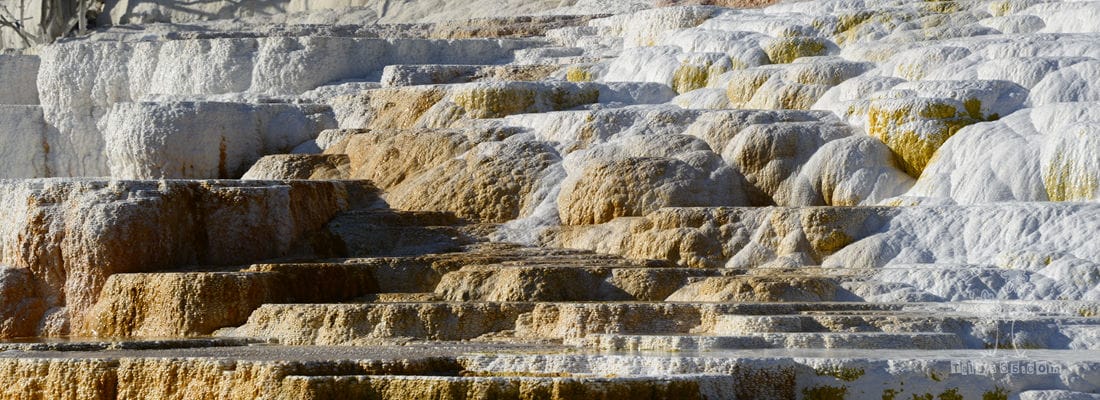 2017爷俩的美国之旅 – 黄石公园之一